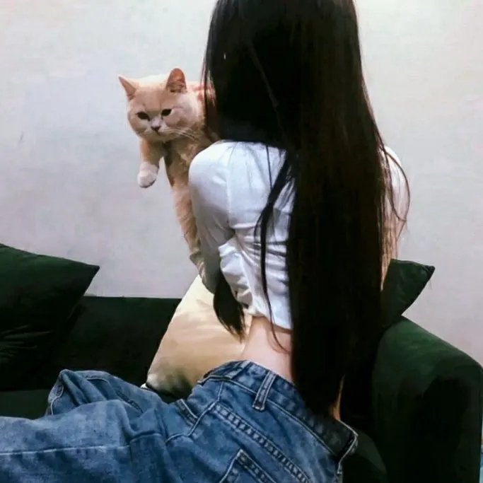 自由无上限 在线观看封面